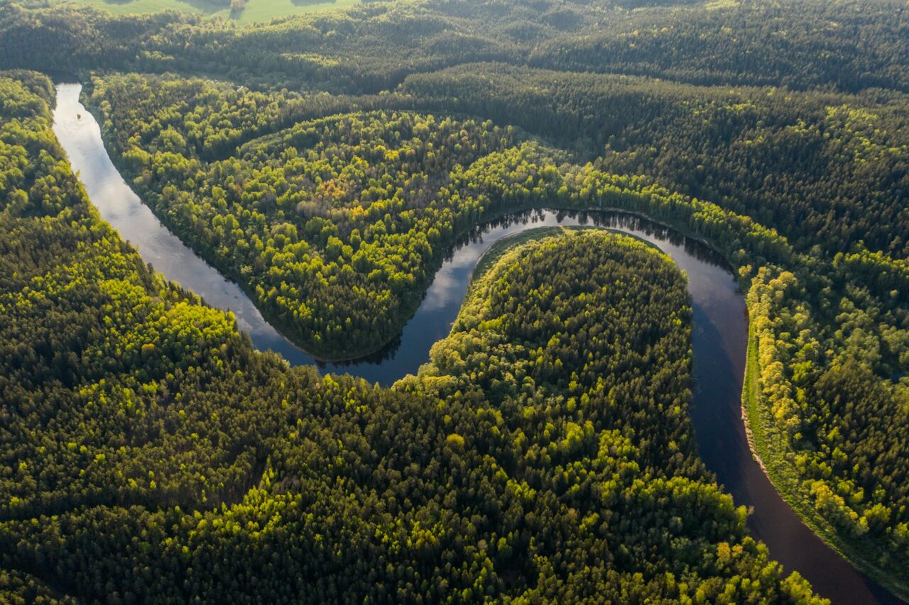 View of the Amazon rainforest from above