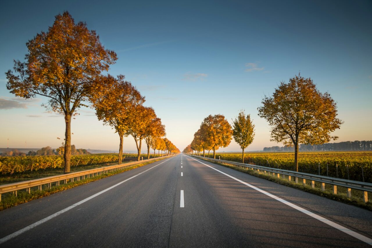 Open road surrounded by Autumn trees