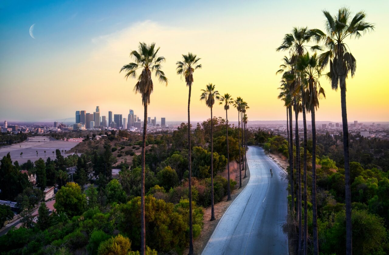 Road with palm trees and Los Angeles skyline in the background