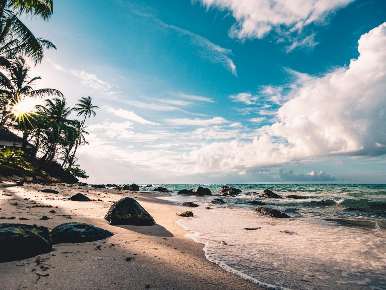 Rocky beach with palm trees and blue sky