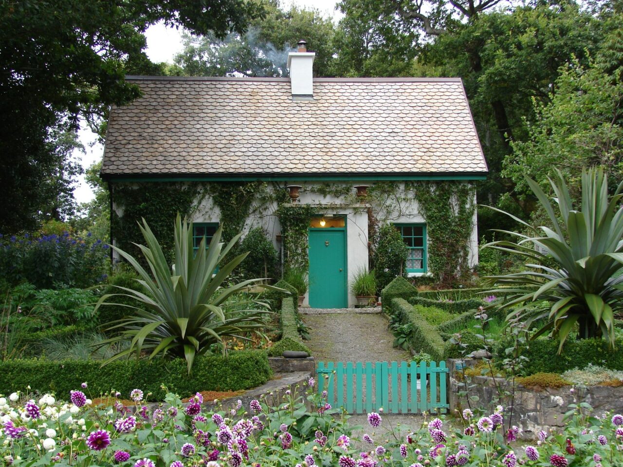 Exterior of a cottage covered in ivy