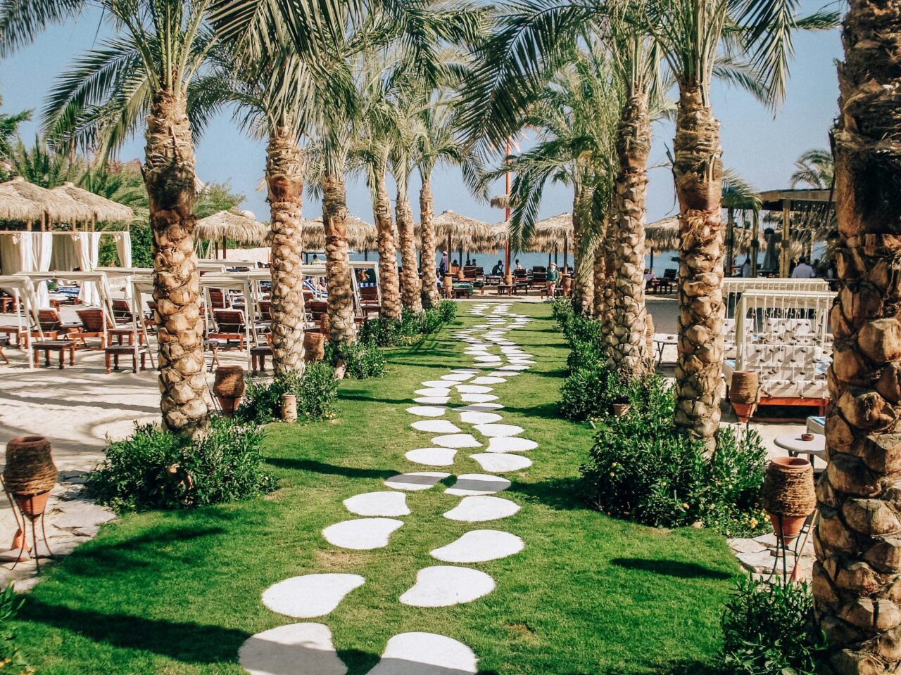 Tropical resort with palm trees in Hurghada