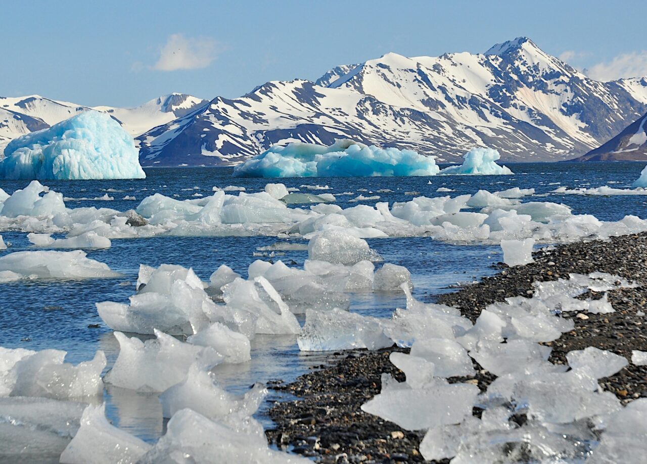 Icebergs in Svalbard