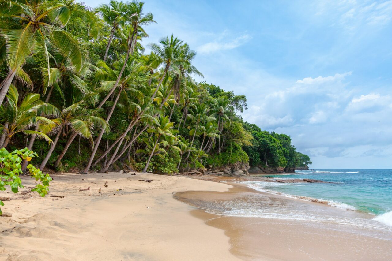 Rugged beach in Panama with palm trees