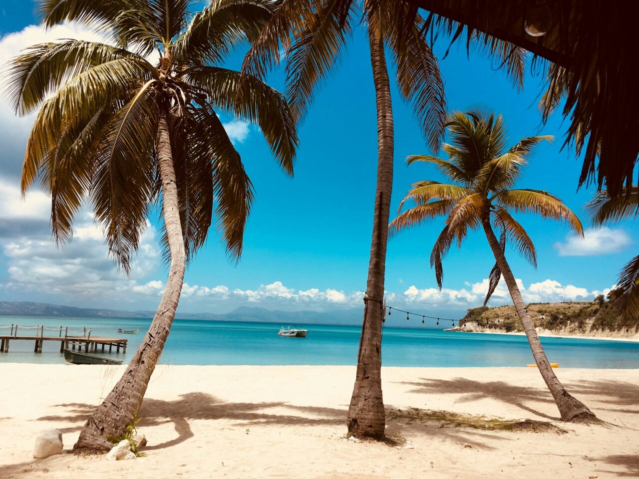 Palm trees on a white sandy beach