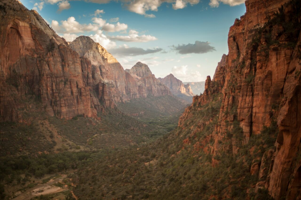 Valley with brown rock formations in Zion National Park