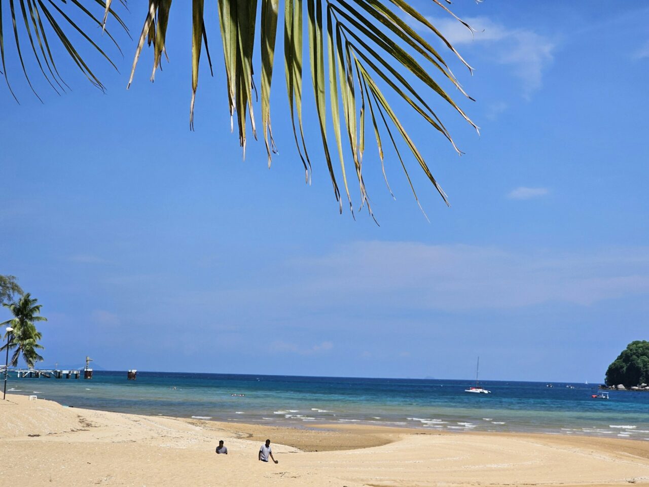 Palm tree and beach on Tioman island