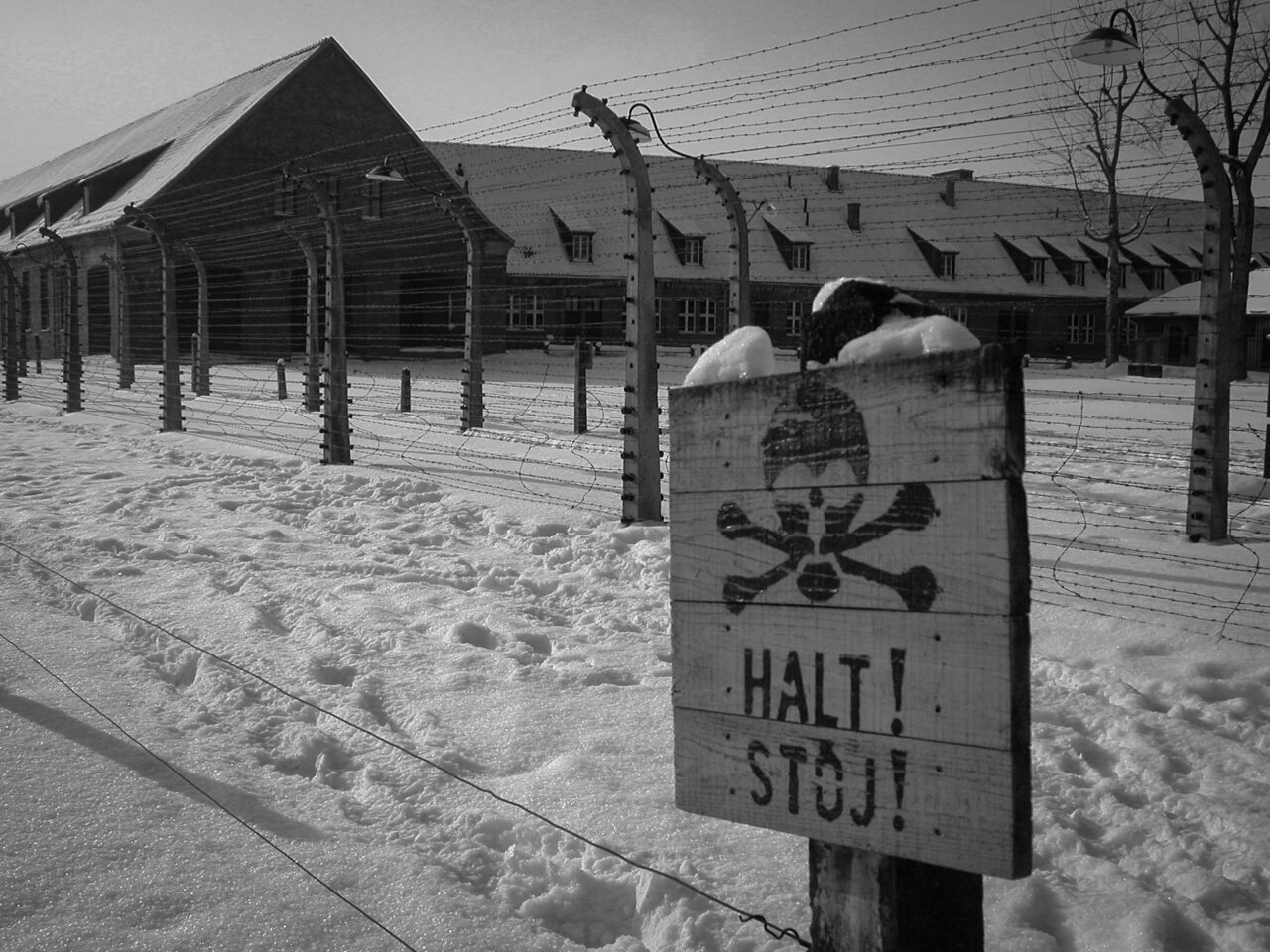 Auschwitz on a snowy day