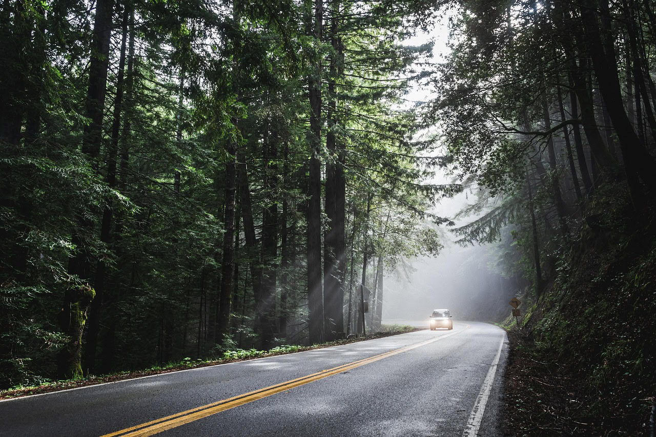 Car on an empty road surrounded by trees