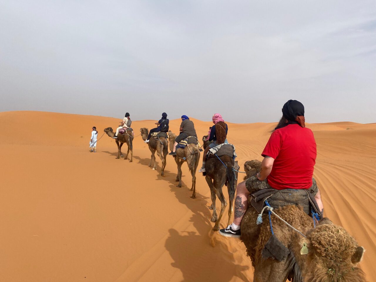 Group of people on camels in the Moroccan desert
