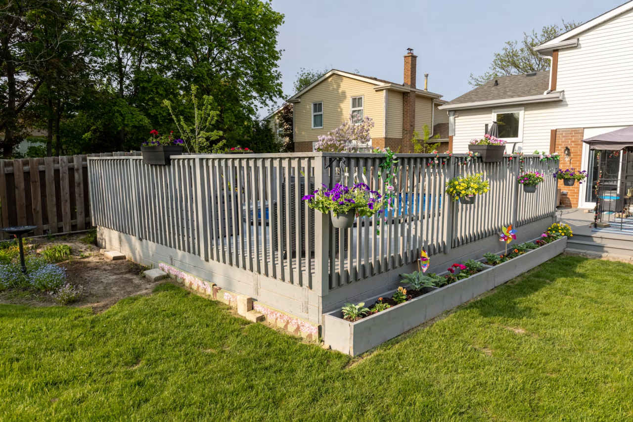 Back yard