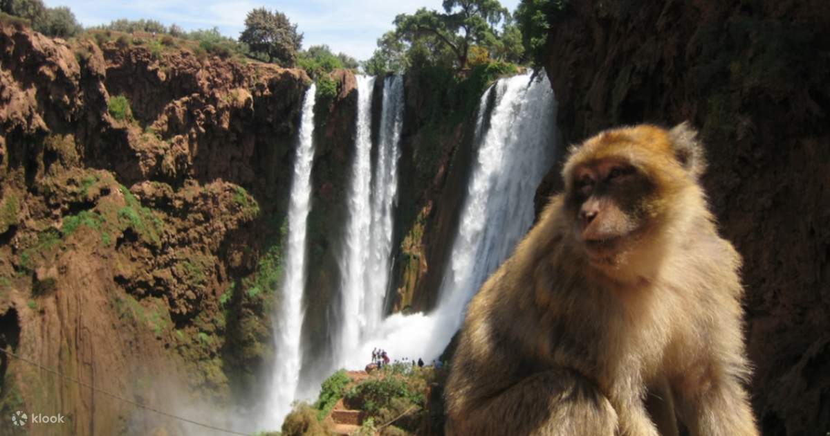 Ouzoud Waterfalls cascading through the gorge, Morocco