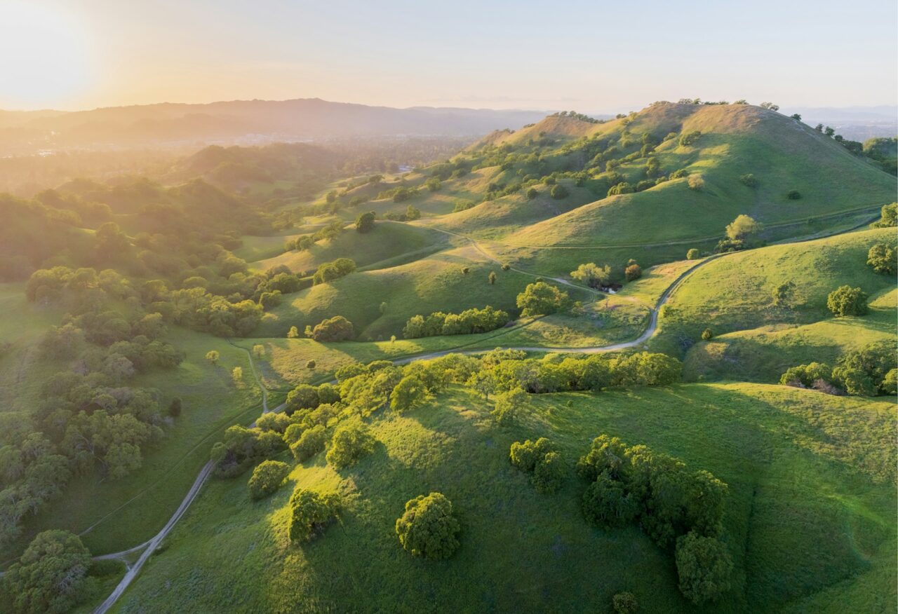 Green hills with trees in Oakland California